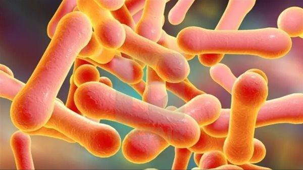 عدوى الدفتيريا