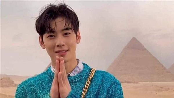 تشا إن وو يشارك في