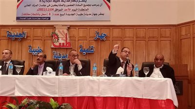 7 ملايين جنيه حصيلة بيع محال تجارية بمدينة طيبة الجديدة 