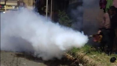 حملة لمكافحة القوارض والناموس والحشرات الطائرة ببورسعيد | صور 