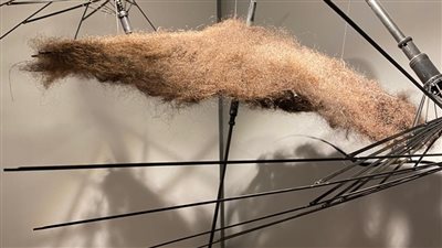 حزنا لوفاة أبيها.. فتاة تجمع شعرها منذ 4 سنوات وتُشكّله في أعمال فنية: فقدت مصدر الأمان