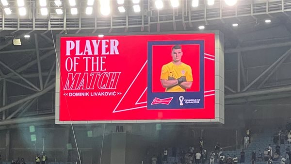  دومينيك ليفاكوفيتش