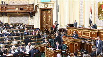 تضامن النواب تناقش مشروعي قانون العمل الأهلي والتأهيل المهني والتدريب.. اليوم