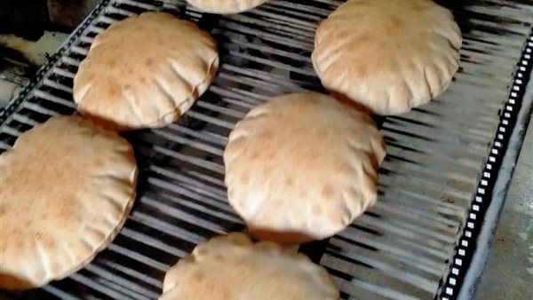 جانب من الحملة