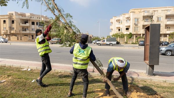 أعمال التشجير