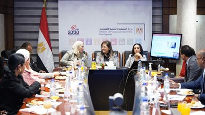 اللجنة الوزارية للمشروع القومي لتنمية الأسرة المصرية تتابع الموقف التنفيذي لخطط المشروع