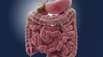علماء يكشفون عن تطور طبي قد يغير قواعد علاج سرطان الأمعاء