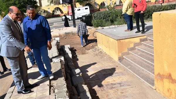 محافظ أسوان