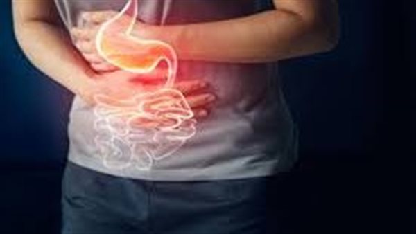 الجهاز الهضمي