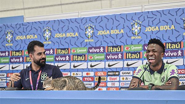 فينيسيوس جونيور 