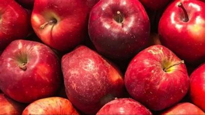 تزامنا مع حلول فصل الشتاء.. ما فوائد تناول التفاح لصحتك؟