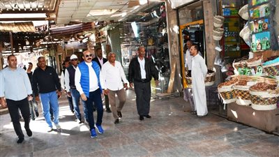 محافظ أسوان يؤكد أهمية نشر التوعية لمواجهة الظواهر السلبية بإيجابية ومشاركة جادة 