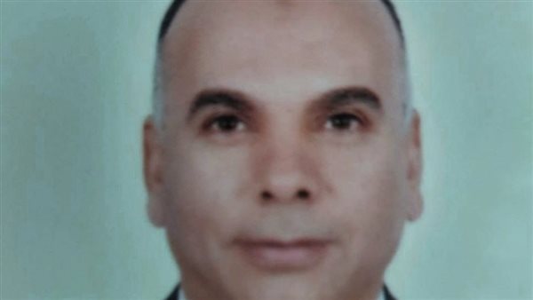 المهندس إبراهيم فوزي