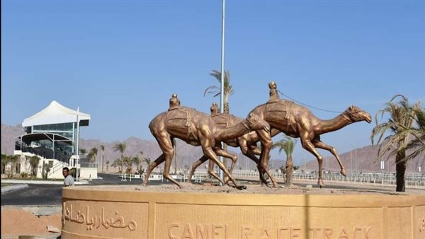 مضمار الهجن بشرم