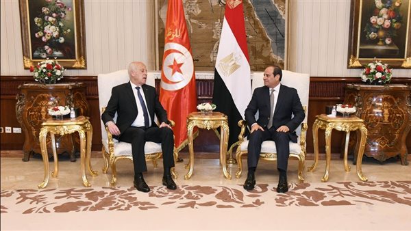 السيسي يلتقي الرئيس