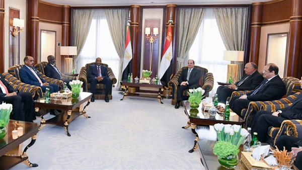 الرئيس السيسي يلتقي