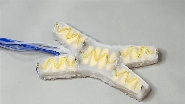 روبوت نجم البحر