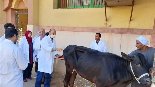 قافلة بيطرية