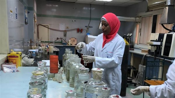 معمل العينة