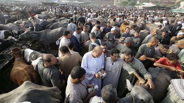 صورة أرشيفية