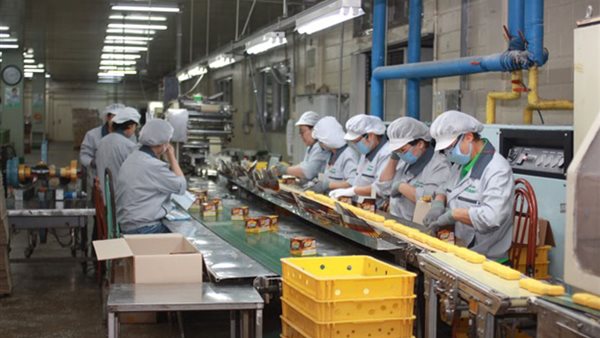 خطوط إنتاج الزيوت