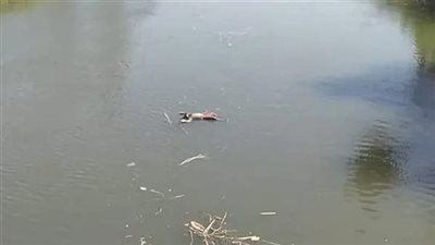 العثور على جثة بها طعنات بأسوان.. والأمن يكثف جهوده لكشف ملابسات الواقعة