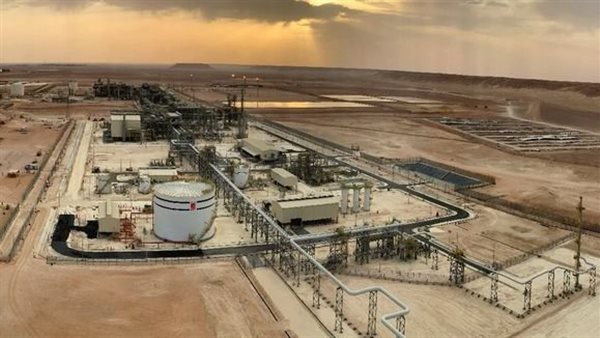 حقل تينرهرت الجزائري