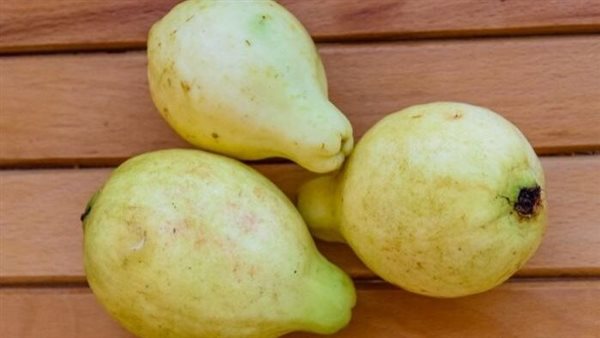 أوراق الجوافة