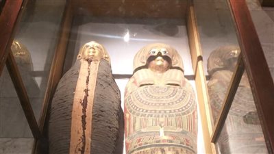 بعد عرضه.. تفاصيل لوح مومياء تابوت إيزيس ورت وموميائها بالمتحف المصري بالتحرير 