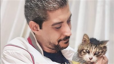 الشيخوخة أنهت حياته.. نفوق مشمش أشهر قط على السوشيال ميديا