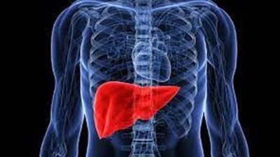 أبرزها آلام الكتف.. تعرف على أعراض الإصابة بسرطان الكبد