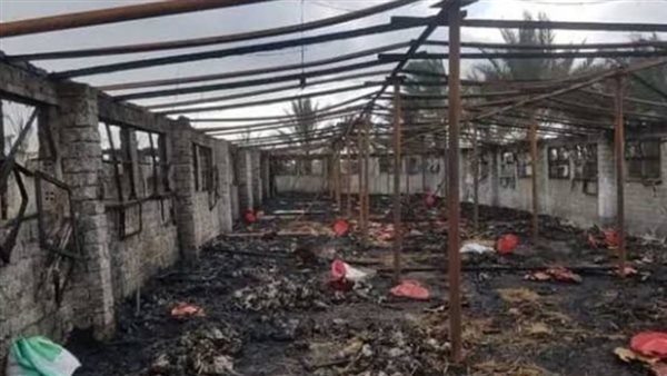 حريق مزرعة الدواجن