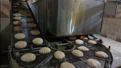 تحرير 16 محضرا في حملة تموينية بكفر الشيخ| صور