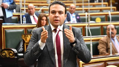 عبد المنعم إمام يعلن رفضه قانون العمل الجديد وينتقد الحكومة 