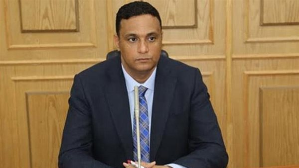 محافظ الدقهلية 