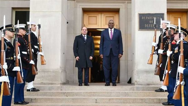  السيسي يلتقي وزير