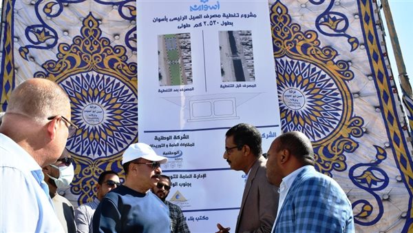 محافظ أسوان