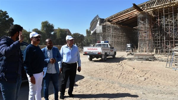 محافظ أسوان