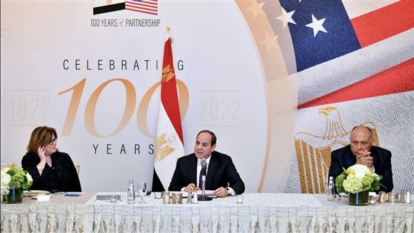 الرئيس السيسي 