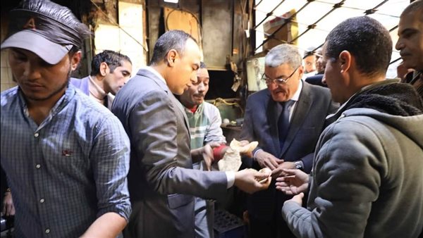 محافظ المنيا 