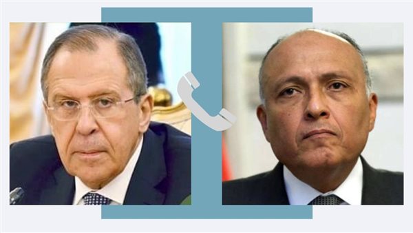 شكري ووزير الخارجية