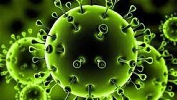 فيروس كورونا