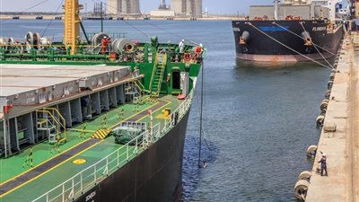 الجمارك: 2.2 مليار جنيه ضرائب عن استيراد القمح والأرز من ميناء الدخيلة خلال فبراير