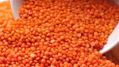 مصر تستورد عدسًا بـ 87.3 مليون دولار في 8 شهور 