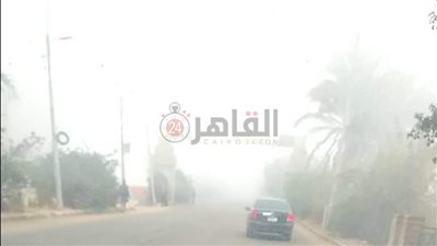 شبورة مائية صباحا ونشاط لحركة الرياح بالمنيا اليوم