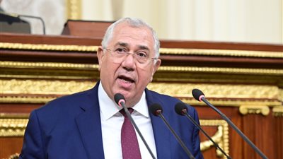 وزير الزراعة: الإفراج عن 135ألف طن من الذرة وفول الصويا بقيمة 91 مليون دولار