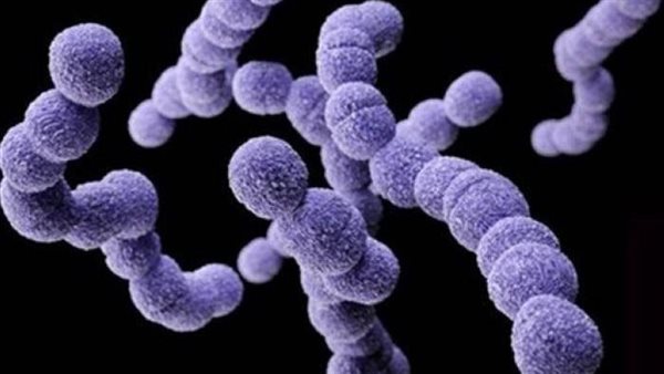 عدوى المكورات العقدية