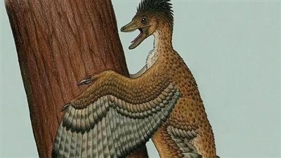 اكتشاف ديناصور ذي ريش عاش منذ 120 مليون سنة 