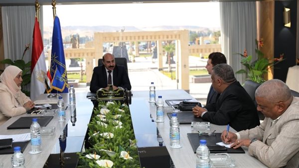 محافظ أسوان