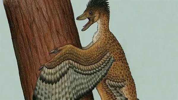 ديناصور بريش